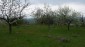 10983:8 -  Bulgarian house very close to pine forest and Kazanlak