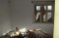 12802:21 - Cheap Bulgaian House with vast garden 4000 sq.m land Vratsa 