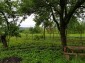 12884:4 - House for sale with big farm building and garden 7000 sq.m land 