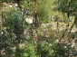 12944:4 - Cheap Bulgarian property in Stambolovo village, Veliko Tarnovo