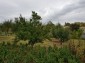 12962:7 - TWO HOUSES, big workshop, many outbuildings and 5000sq.m garden 