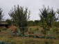 12962:12 - TWO HOUSES, big workshop, many outbuildings and 5000sq.m garden 