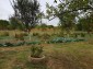 12962:13 - TWO HOUSES, big workshop, many outbuildings and 5000sq.m garden 