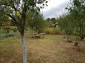 12962:14 - TWO HOUSES, big workshop, many outbuildings and 5000sq.m garden 