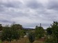 12962:16 - TWO HOUSES, big workshop, many outbuildings and 5000sq.m garden 