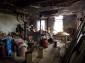 12962:55 - TWO HOUSES, big workshop, many outbuildings and 5000sq.m garden 