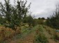 12962:69 - TWO HOUSES, big workshop, many outbuildings and 5000sq.m garden 
