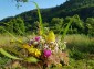 12990:37 - Traditional Bulgarian property with panoramic river and forests 
