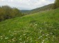 12990:39 - Traditional Bulgarian property with panoramic river and forests 