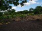 12911:16 - Property in good habitable condition big garden 8 km to Karnobat