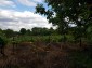 12911:87 - Property in good habitable condition big garden 8 km to Karnobat