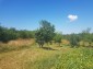 13054:60 - Traditional Bulgarian house 9km away from Yastrebino lake Popovo