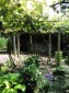 13065:4 - Very cheap Bulgarian house in northeastern Bulgaria