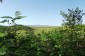 13068:50 - House with annex, big farm building and garden 100 km from Sofia