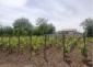 13157:2 - House with big garden 5 km from Gen. Toshevo and 43km from sea 