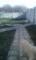 13184:5 - HOUSE FOR SALE  near Varna !
