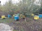 13185:6 - BIG FAMILY HOUSE ,  CLOSE TO GOLF  !