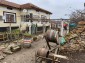 13186:4 - Cheap property with a large yard!