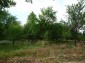 13191:6 - Cheap Bulgarian house with a large yard of 4170sq.m.!
