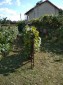 13212:6 - TRADITIONAL FAMILY HOUSE !