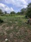 13213:3 - Cheap bulgarian house near Dobrich