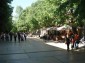 13216:7 - BEAUTIFUL BULGARIAN HOUSE !