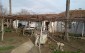 13227:2 - Bulgarian property in a seaside town!