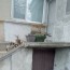 13228:12 - !House for sale on the sea in the town of Shabla!