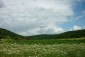13232:7 - EXCELLENT OFFER! Cheap bulgarian house!