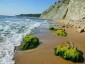 13236:16 - BEAUTIFUL BULGARIAN HOUSE !Near the sea !