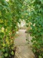 13248:2 -  Property for sale whit a large yard of 3000 square meters!