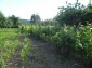 13274:7 - Nice cozy Bulgarian property!