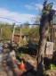 13312:15 - Brick built rural Bulgarian house near lake  big garden  Popovo