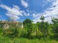 13289:8 - Nice rural property near Dobrich!