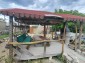 13242:22 -    DREAM HOME !LOVELY RURAL HOUSE !