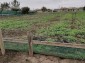 13330:2 - Rural property 5 km to Kavarna