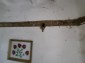 13266:20 - Cheap Bulgarian property whit big yard 2900sq.m. Dobrich region