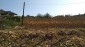 13346:10 - Bulgarian property for sale with a large yard 3500 sq.m.