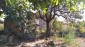 13346:12 - Bulgarian property for sale with a large yard 3500 sq.m.