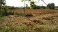 13346:18 - Bulgarian property for sale with a large yard 3500 sq.m.