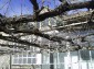 13360:5 - A Marvellous Three-Storey House with 1500 sq. m