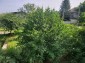13365:28 - Great offer! House for sale near Varna!