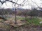 13395:16 - Rural Bulgarian property in Haskovo region 20 km from Greece