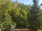 13399:34 - WHAT A VIEW. HOUSE IN THE MIDDLE OF A FOREST STARA ZAGORA 