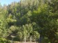 13399:35 - WHAT A VIEW. HOUSE IN THE MIDDLE OF A FOREST STARA ZAGORA 
