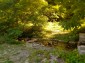 13399:37 - WHAT A VIEW. HOUSE IN THE MIDDLE OF A FOREST STARA ZAGORA 