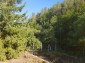 13399:33 - WHAT A VIEW. HOUSE IN THE MIDDLE OF A FOREST STARA ZAGORA 