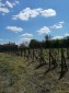 13410:12 - Cozy House in good condition for sale in Dobrich region near the