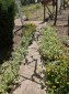 13410:8 - Cozy House in good condition for sale in Dobrich region near the