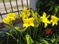 13420:6 - House for sale whit swimingpool near Balchik!DREAM HOLIDAY HOME!